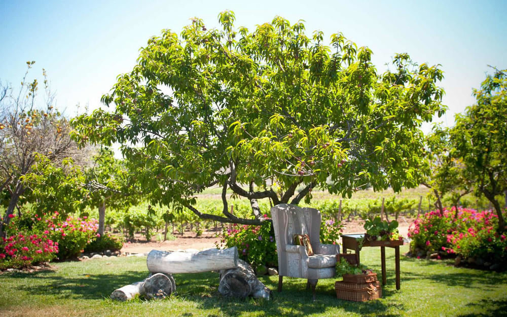 Rancho El Parral Villa San Marcos  ภายนอก รูปภาพ